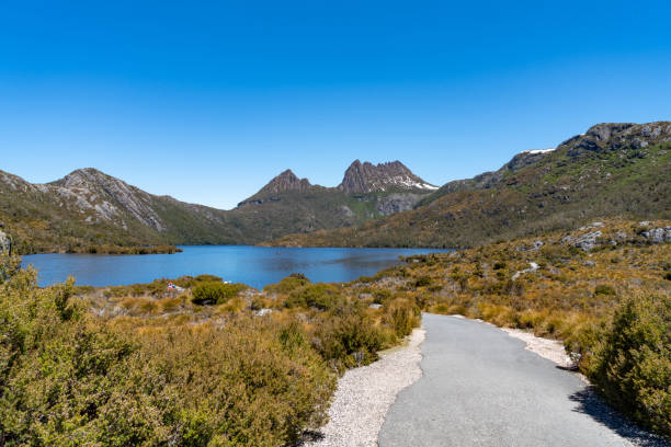 istock Cradle Mountain, Tasmania, Australia 1257319053