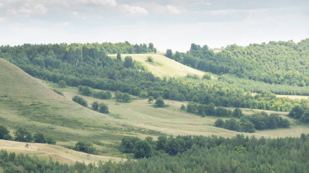 istock Beautiful smooth green hills on a Sunny summer day. 1257322395
