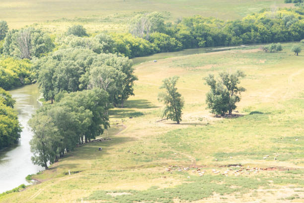 istock A beautiful river flows through the lowlands on a clear Sunny summer day. 1257322773