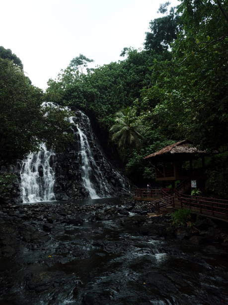 istock Kepirohi waterfall in Pohnpei, Micronesia 1257323632