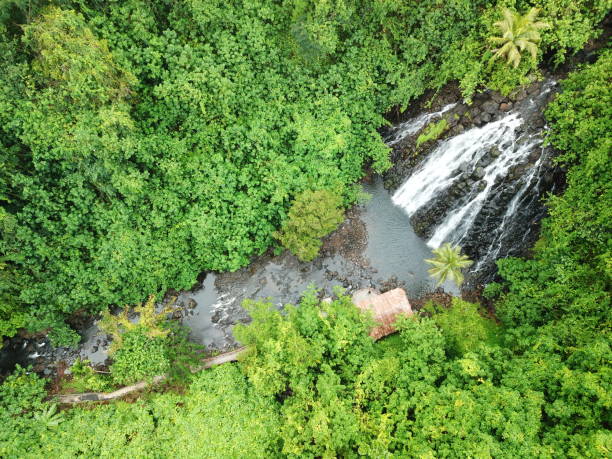 istock Kepirohi waterfall in Pohnpei, Micronesia 1257323645