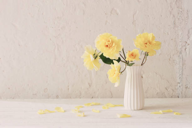 istock yellow roses in white vase on background white wall 1257324915