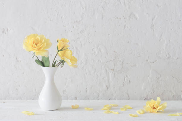 istock yellow roses in white vase on background white wall 1257324918