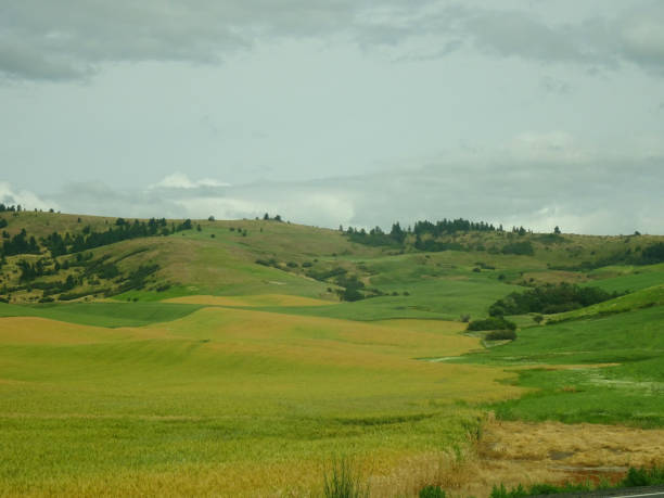 This is on the way into the Wallowa Mountains in Eastern Oregon, and looking down on the checker box fields leading to Pendleton.  The Hill is known as \