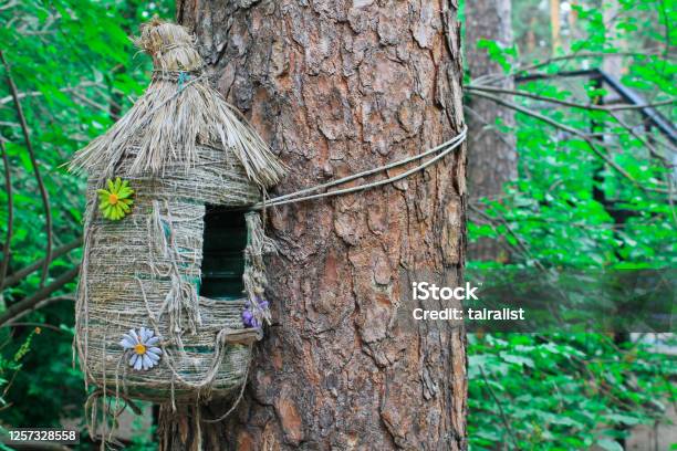 Feeder Decorative House For Birds And Squirrels Summer Forest Stock Photo - Download Image Now