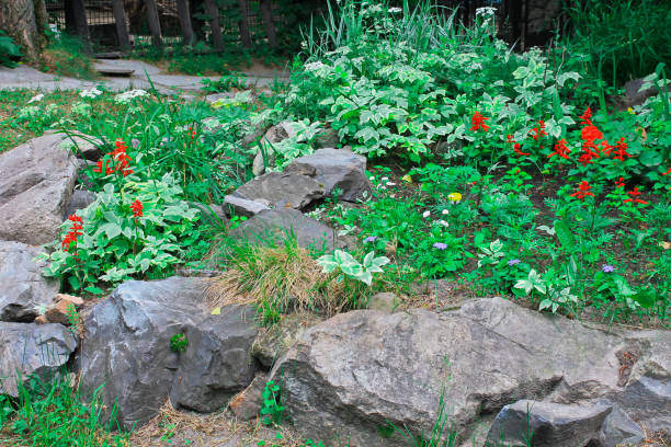istock Decorative slide, landscape design, interior in the garden 1257328566