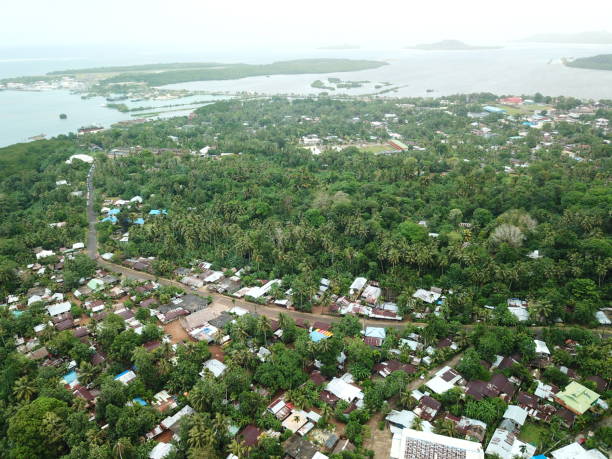 istock Kolonia town aerial view in Pohnpei, Micronesia 1257330798