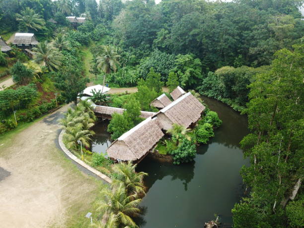 istock Kolonia town aerial view in Pohnpei, Micronesia 1257330959