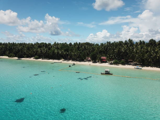 istock Ant atoll in Pohnpei, Micronesia 1257332637