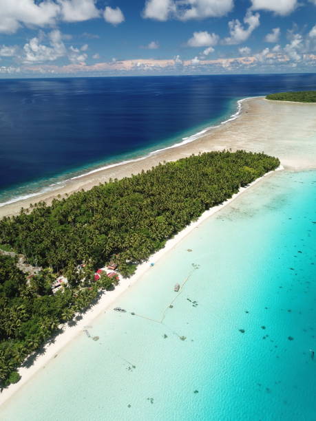 istock Ant atoll in Pohnpei, Micronesia 1257332680