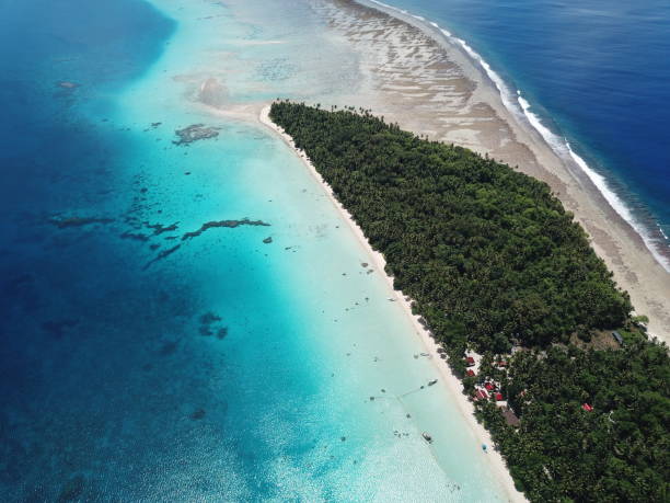 istock Ant atoll in Pohnpei, Micronesia 1257332717