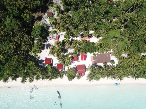 istock Ant atoll in Pohnpei, Micronesia 1257332772