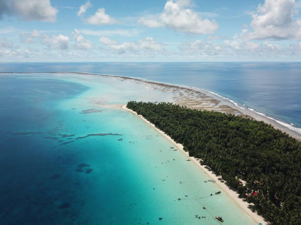 istock Ant atoll in Pohnpei, Micronesia 1257332801