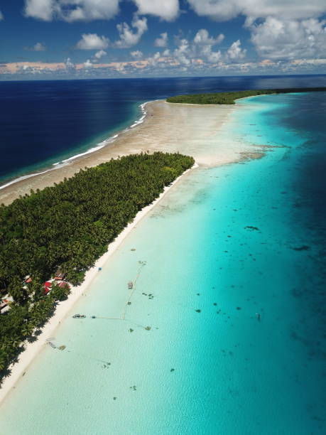 istock Ant atoll in Pohnpei, Micronesia 1257332817