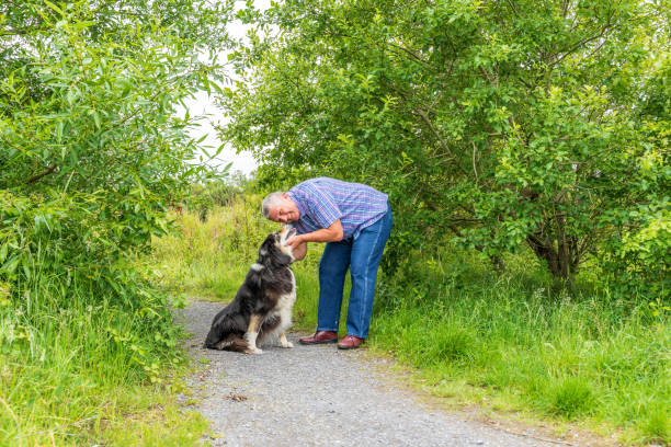 istock Man on grassland with border collie 1257336085
