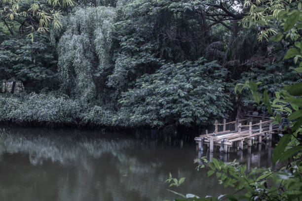 istock A wooden bridge over a small river. 1257336836