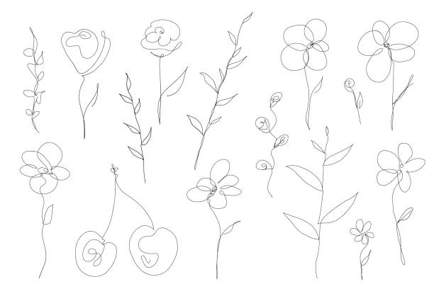 abstrakcyjna kolekcja kwiatów i pijawek w stylu ciągłego rysowania liniowego - contour drawing obrazy stock illustrations