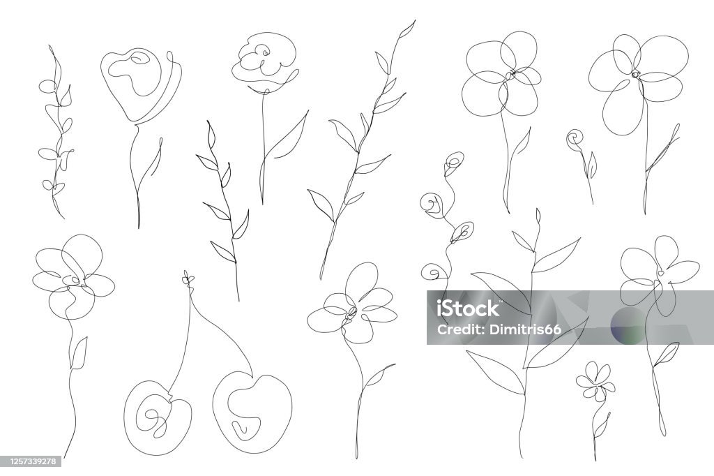 Abstract collection of flowers and leefs in continuous line art drawing style Simple minimalistic design. Black single line sketch on white background Flower stock vector