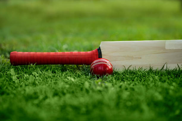 istock leather Cricket ball resting on a cricket bat placed on green grass cricket ground pitch 1257341777
