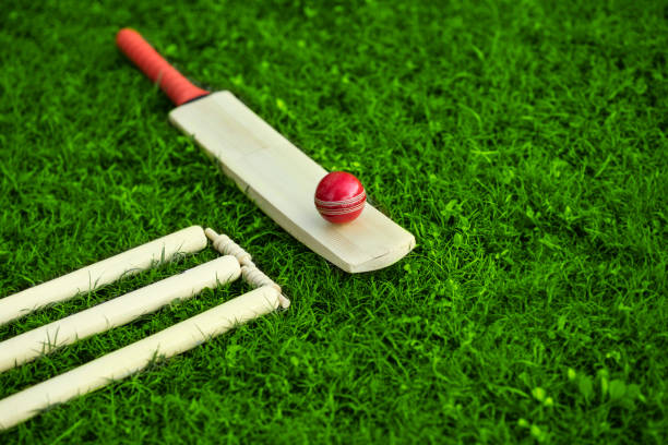cricket set bat bola tocones y fianzas en el fondo de césped verde - wooden bat fotografías e imágenes de stock