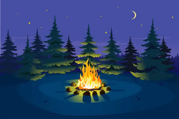 Vector illustration of Bonfire in night spruce forest