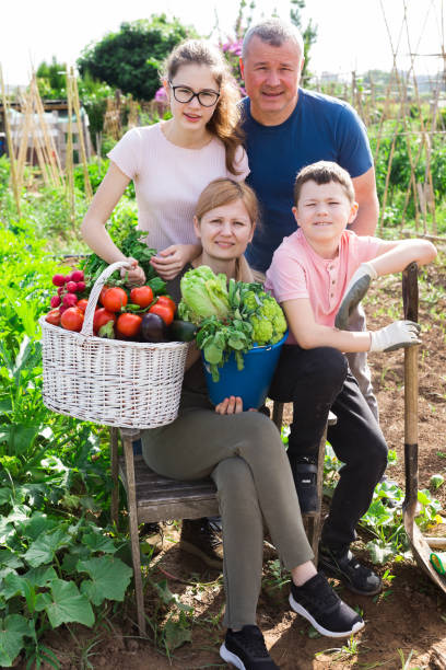 istock Family posing in garden with picked vegetables 1257342991