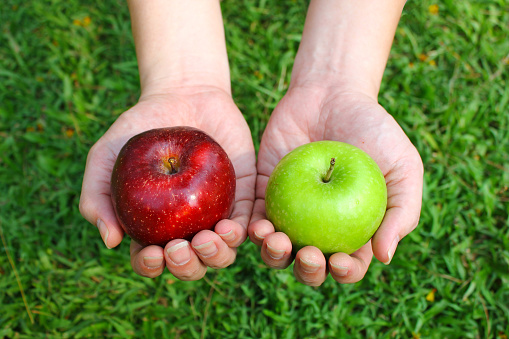 Hands holding red and green apples on green grass background with copy space. Earth day, environment care concept