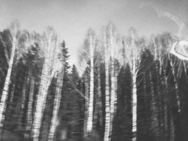 istock landscape photography 1257344520