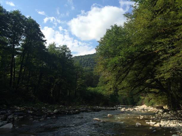 istock landscape photography 1257344577