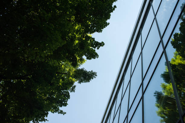 istock Modern urban building modern facade decoration 1257346849