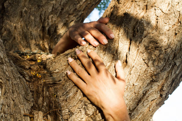 Close up of young female hands hugging a huge tree. Concept of connecting with nature, saving environment
