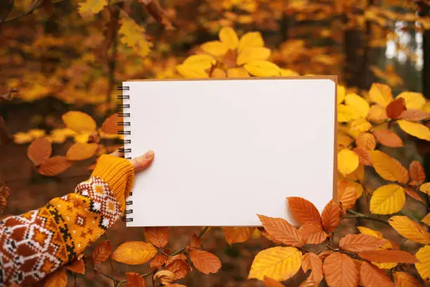 Photo of Autumn Mock up.Back to school. Blank notebook in female hands in branches with autumn leaves on autumn forest background. autumn to-do list.Thanksgiving day. Halloween.