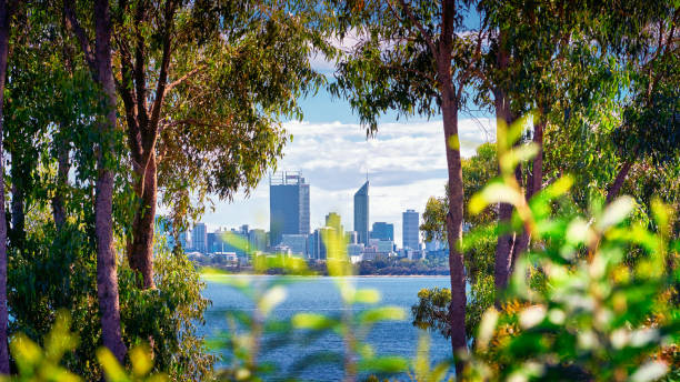 istock Perth City Skyline through trees, Western Australia 1257350552