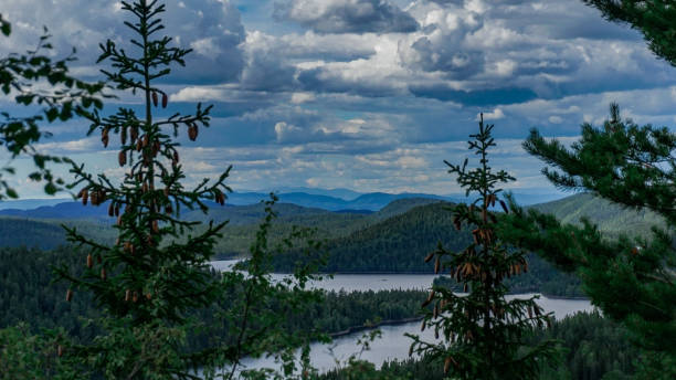 istock Scandinavian landscape with skies and a river 1257352033