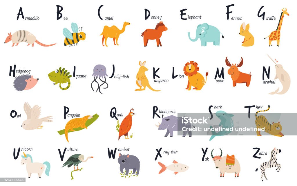 Colorful Alphabet With Cute Funny Animals English Letters Stock  Illustration - Download Image Now - iStock