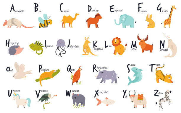 Colorful alphabet with cute funny animals. English letters. Colorful alphabet with cute funny animals. English letters. Vector illustration wombat stock illustrations
