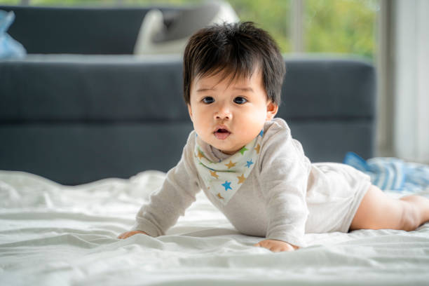 An Asian baby is crawling along the floor on a room covered by a quilt. stock photo