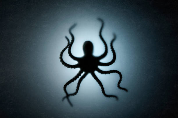 Octopus behind a dusty scratched glass