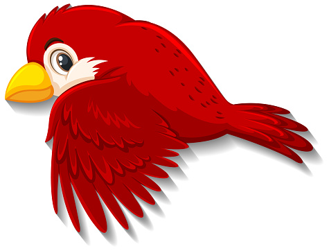 Ilustración de Bonito Personaje De Dibujos Animados De Pájaro Rojo y más Vectores Libres de Derechos de Animal - iStock Ilustración de Bonito Personaje De Dibujos Animados De Pájaro Rojo y más Vectores Libres de Derechos de Animal - iStock