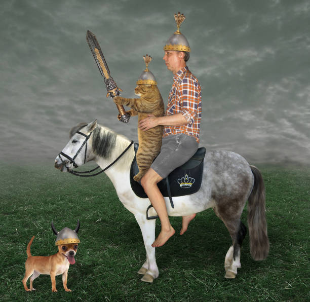 istock Cat warrior with man on horse 1257358687