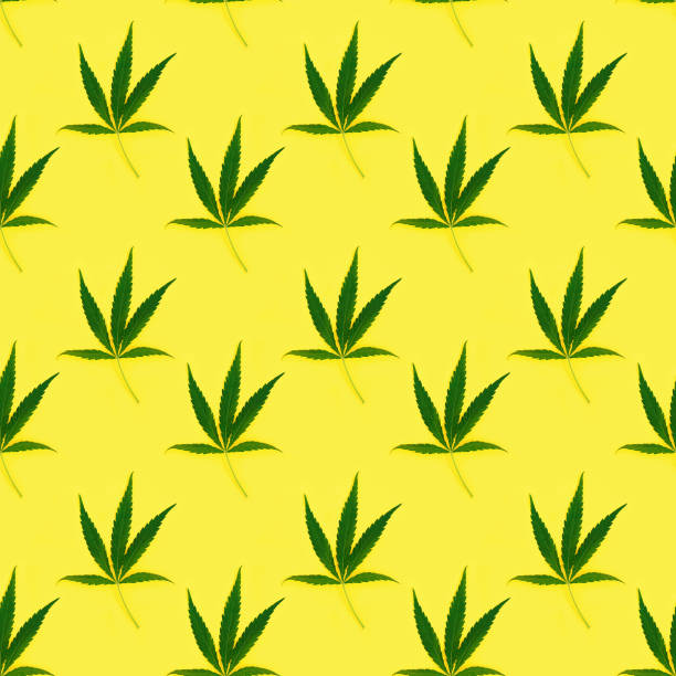 istock Seamless regular creative pattern with natural green leaves from Cannabis plant. 1257360151