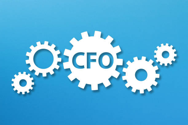 Chief Finance Officer, CFO concept with white gears on blue background Chief Finance Officer, CFO concept with white gears on blue background cfo stock pictures, royalty-free photos & images