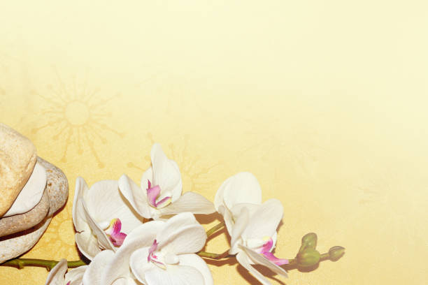 istock white orchid flower and natural stone pyramid, relaxing zen background 1257364948