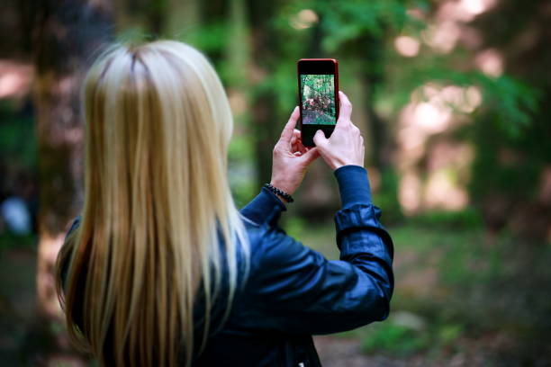 istock Woman photographing trees through smart phone 1257365565