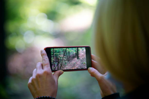 istock Woman photographing trees through smart phone 1257366185