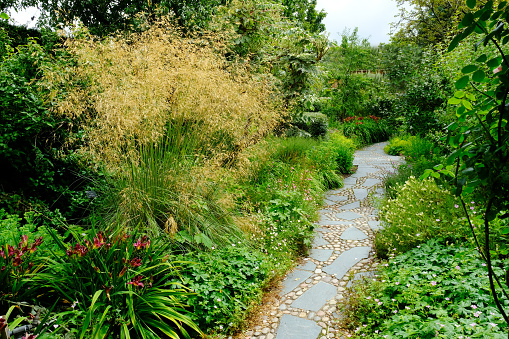Ornamental garden path running through lush flowerbeds.