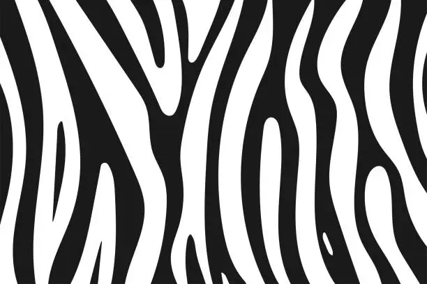Vector illustration of Zebra skin vector cartoon background.