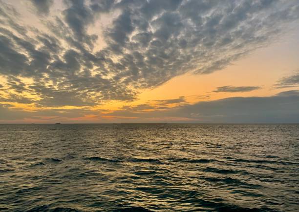 istock Horizon view over the sea and sky 1257373886