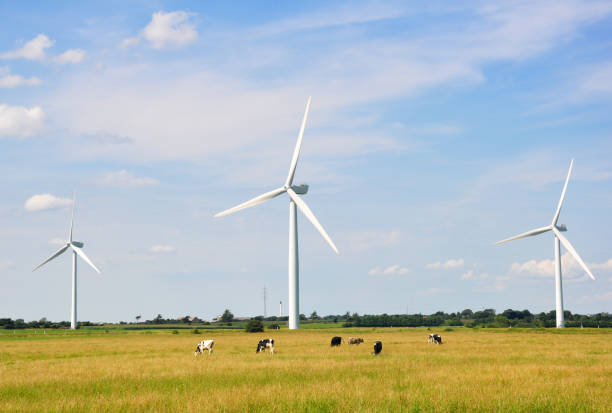 istock Wind turbines on the green grass over the blue clouded sky 1257374000