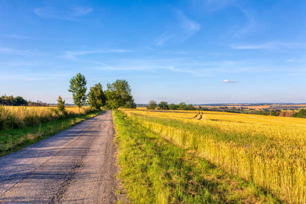 istock Summer landscape Vysocina Czech Republic 1257375160
